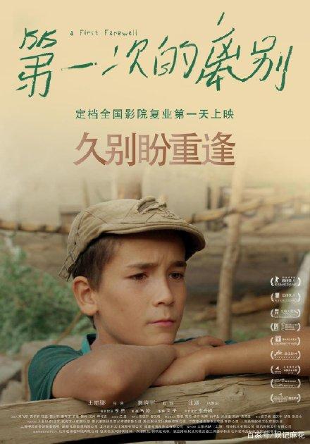 做个斯洛文尼亚驾照